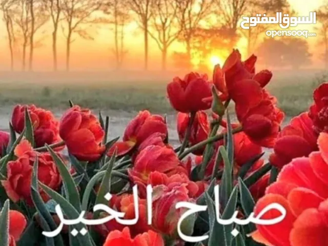 130 m2 3 Bedrooms Apartments for Rent in Farwaniya Farwaniya