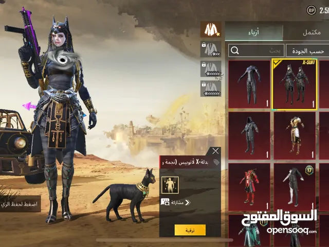 Pubg Accounts and Characters for Sale in Kuwait City
