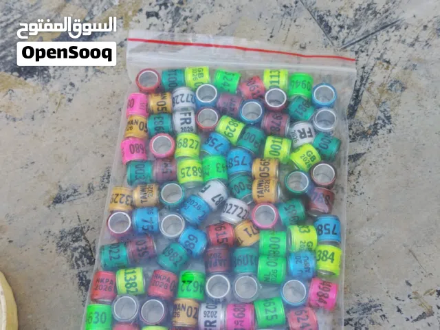 حجول حمام للبيع 50حبه 3ريال 100 حبه 5 ريال