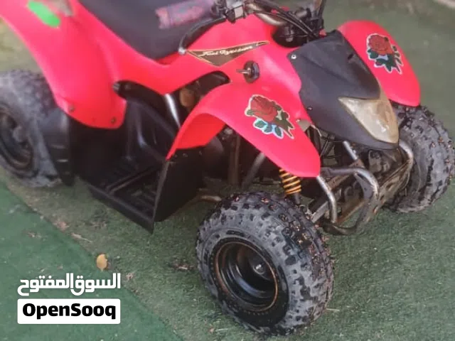 cobra Korean 50 cc