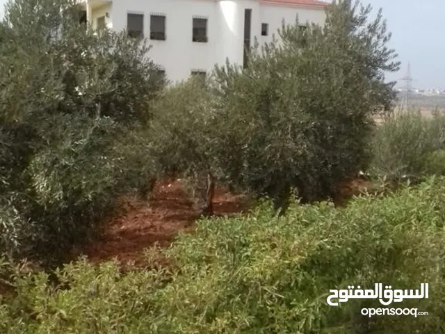 Residential Land for Sale in Irbid Huwwarah