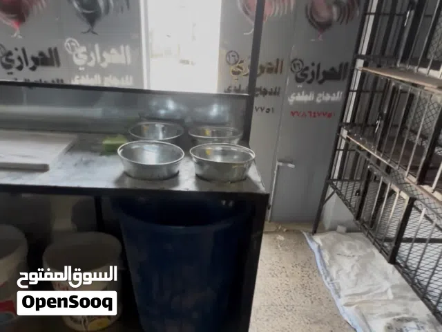 محل دجاج للبيع