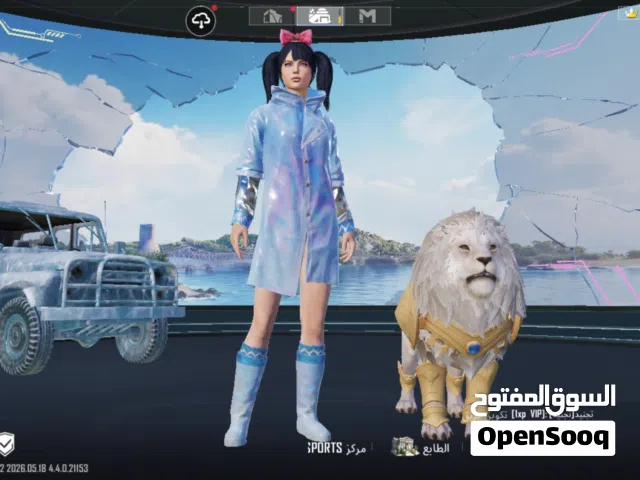 Pubg Accounts and Characters for Sale in Ibb