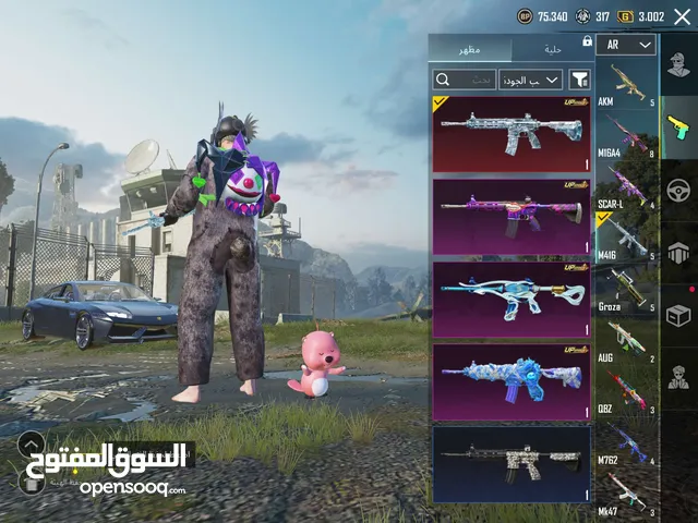 Pubg Accounts and Characters for Sale in Madaba