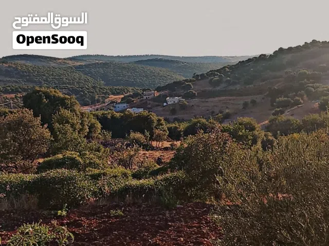Farm Land for Sale in Ajloun E'in Jana