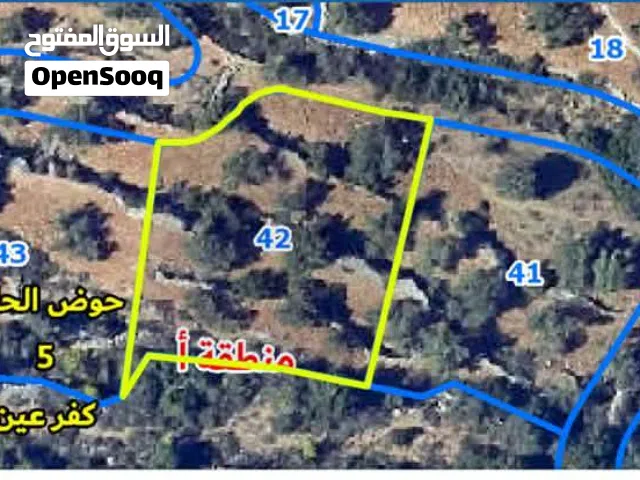 فرص لا تعوض ...