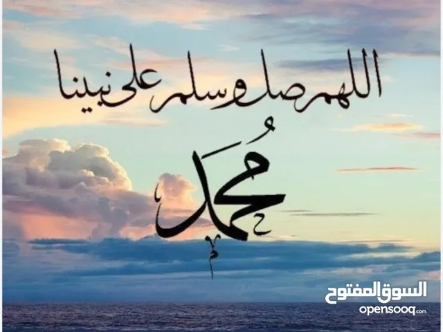 للبيع أنثى كروان