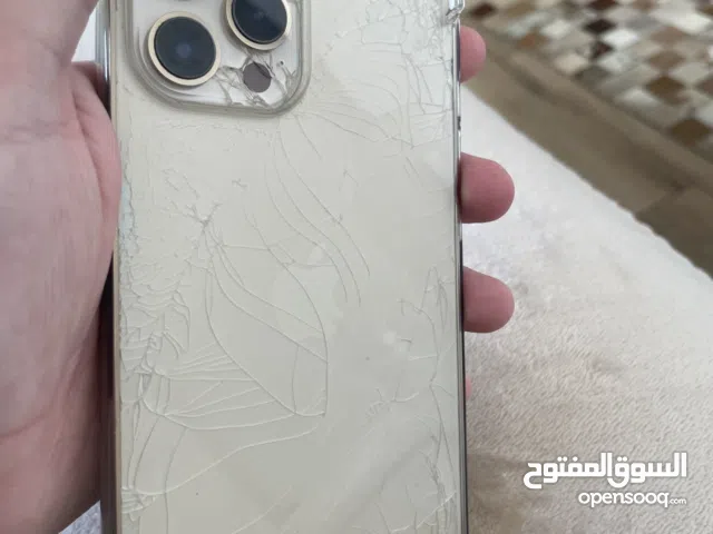 Apple iPhone 12 Pro Max 256 GB in Nablus