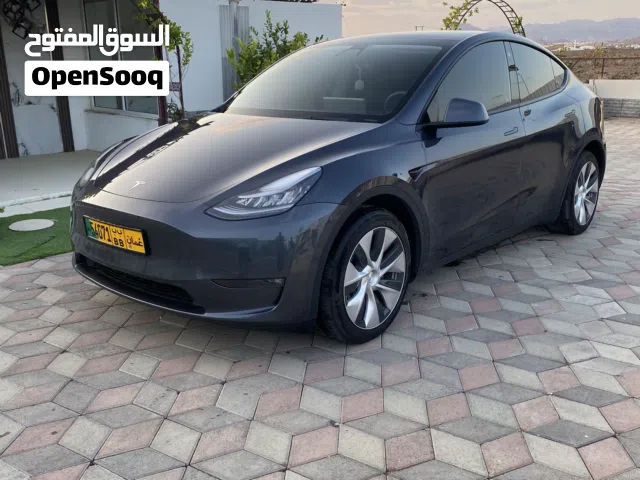 2021 تيسلا موديل Y Long Range