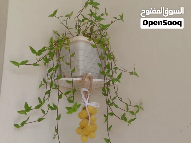 صابن لغسل اليدين
