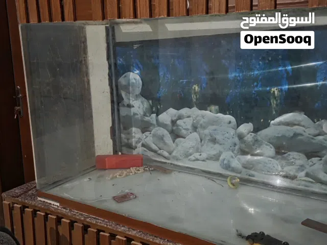 حوض سمك  طوله مترين مترين