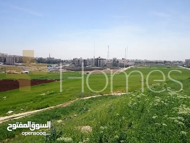 ارض للبيع قرب منطقة رجم عميش بمساحة 501م