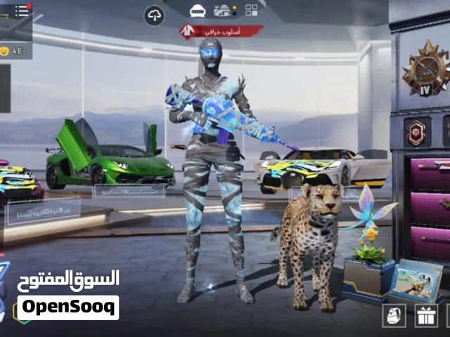 Pubg Accounts and Characters for Sale in Amman