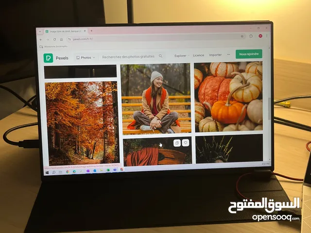 portable monitor