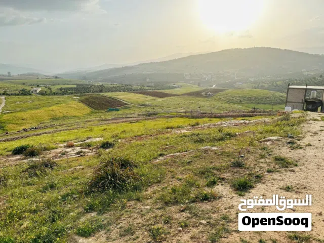 Mixed Use Land for Sale in Jerash Unaybah