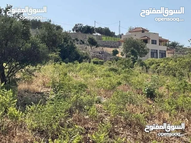 Mixed Use Land for Sale in Ajloun I'bbeen