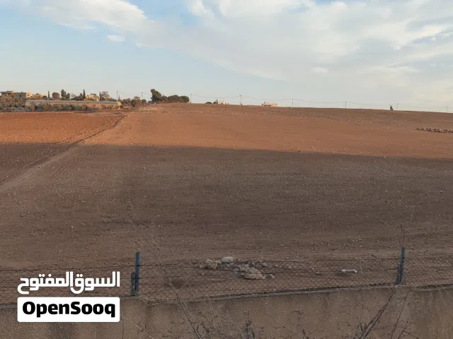 Farm Land for Sale in Madaba Madaba Center