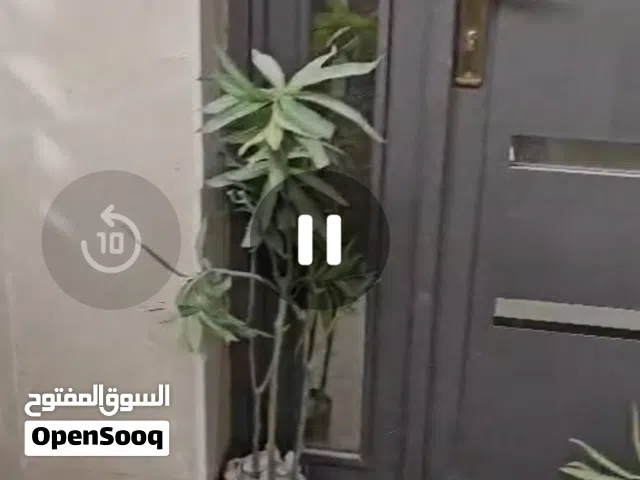 شقة للايجار في بغداد _ المنصور _ حي دراغ