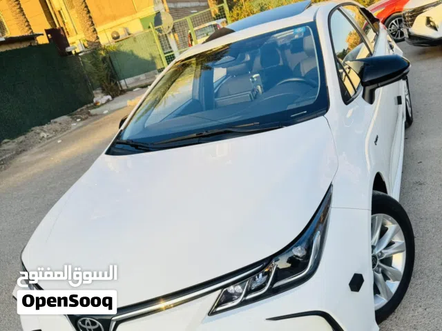 New Toyota Corolla in Baghdad