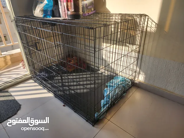 Pet Cage For Sale