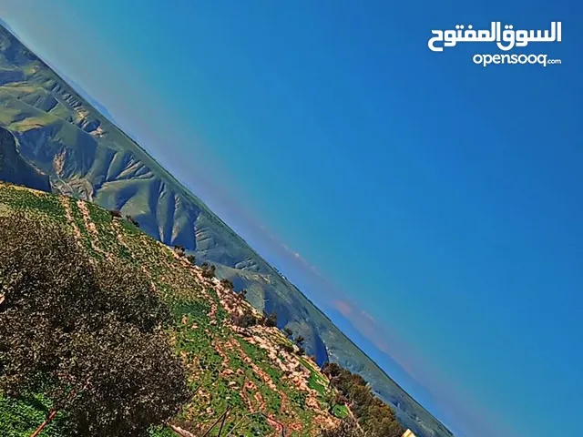 مزرعه وبيت مستقل محاطه بصور وشيك  اطلاله ولا اروع على طبرية والجولان