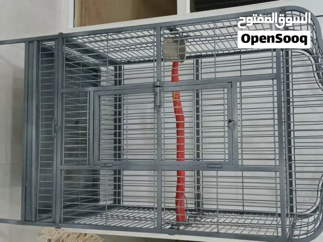 قفص ببغاء كبير حديد متين طوله 1.60*80