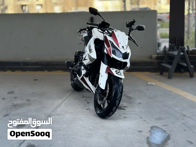 2011 Kawasaki Other