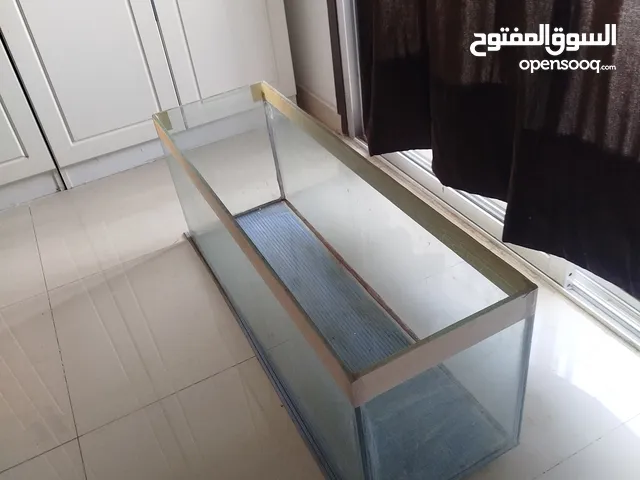 Big Fish aquarium for sale in wadi Kabir