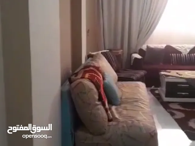 150 m2 2 Bedrooms Apartments for Rent in Giza Faisal