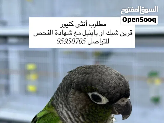 مطلوووووب وليس للبيع