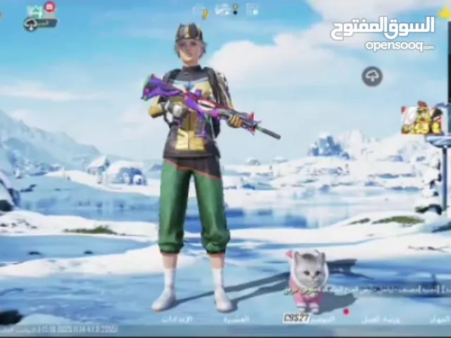 Pubg Accounts and Characters for Sale in Ibb