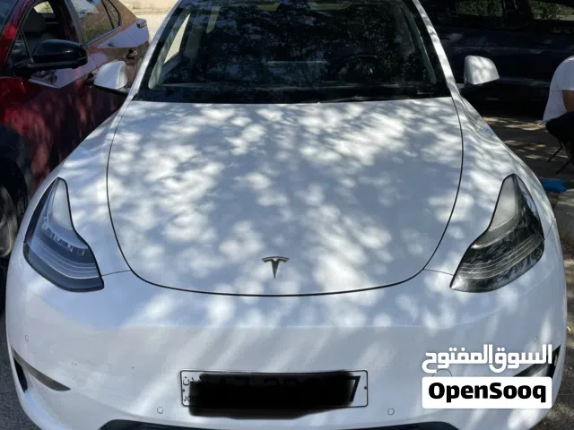 2021 تيسلا موديل Y Long Range