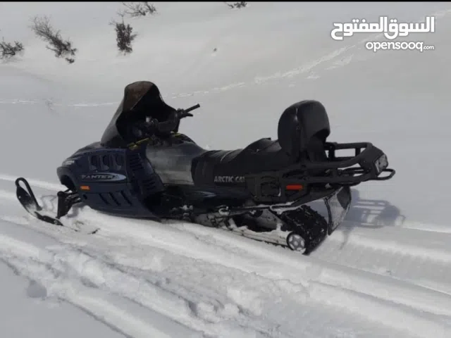 Skidoo suzuki Model 2002