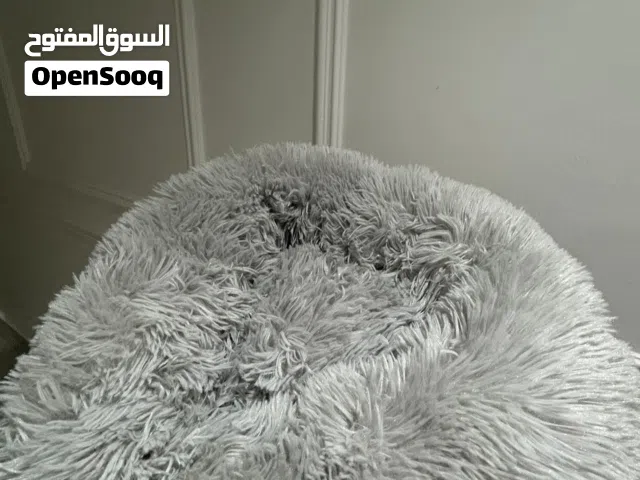 اغراض قطو للبيع