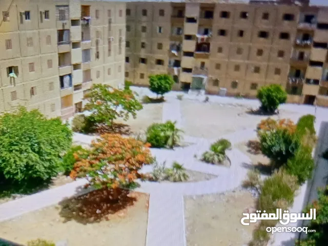 شقة فى التجمع الاول للايجار