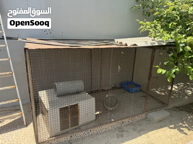 قفص للطيور والدواجن