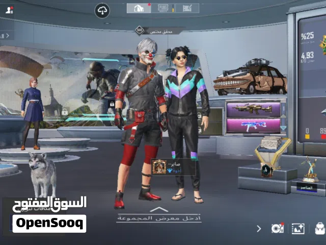 Pubg Accounts and Characters for Sale in Cairo