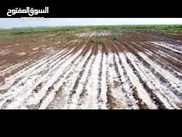 1 Bedroom Farms for Sale in Ajaylat Other