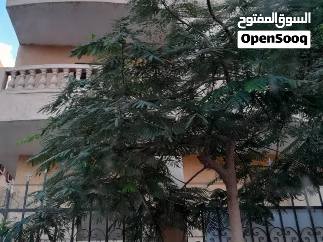120 m2 3 Bedrooms Apartments for Sale in Cairo Badr City