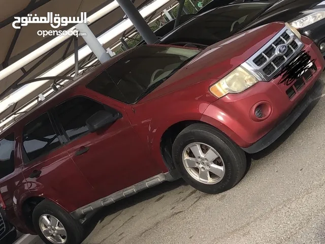 Used Ford Escape in Um Al Quwain