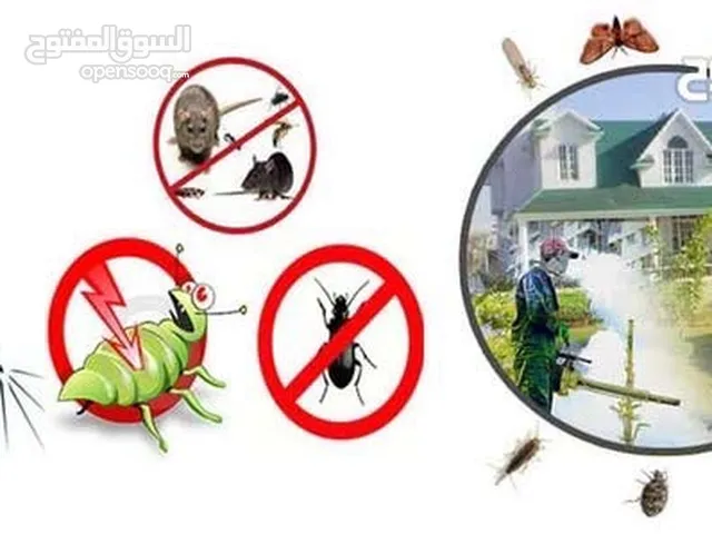 مكافحة الحشرات و اقوارض ارخص الاسعار جميع مناطق  الكويت