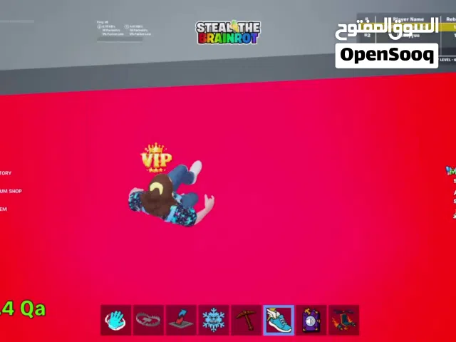 اغراض ماب السرقه