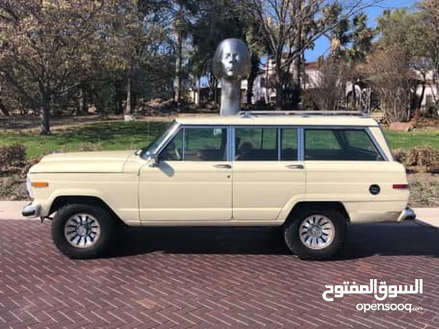 جيب واجونيير 1994 موتور ايسوزو 2000 سي سي مطلوب 130 الف رخصة 3 سنوات