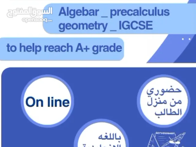 math SAT algebra igcse geometry calculs tutor