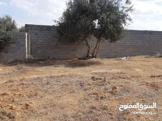 Commercial Land for Sale in Tripoli Sidi Al-Sae'a