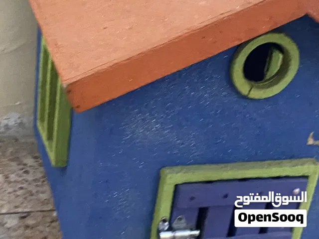 منزل قط حجم متوسط