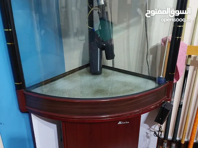 Fish tank ( حوض سمك)