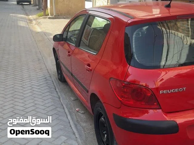 2006 Peugeot 307 Standard