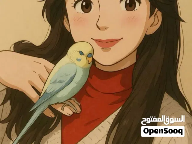 فندقه طيور لمسافر او انشغال مؤقت