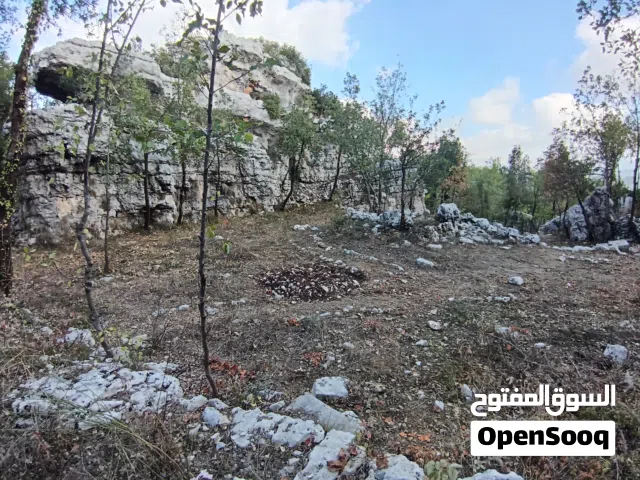 Residential Land for Sale in Kesrouane Faitroun
